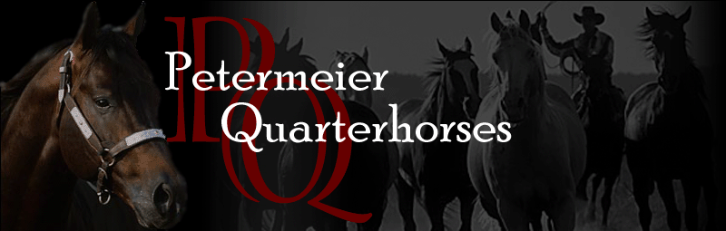 Petermeier Quarterhorses